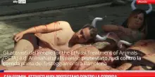 San Fermin, attivisti nudi protestano contro la corrida