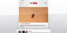 Sky Tg24 Business, puntata del 29 luglio 2025