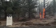 Usa, incendio Oregon: Flat Fire devasta oltre 8 mila ettari