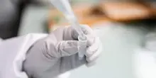 West Nile, due contagi a Latina: primi casi autoctoni del Lazio