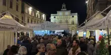 Tartufo bianco, Città di Castello in festa per la 'trifola'