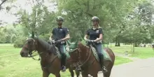 Milano, avviato servizio Polizia a cavallo nelle aree verdi