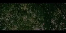 TRAILER Bambi live-action con la voce di Francesca Michielin