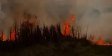 Incendi in Canada, 31mila evacuati: più di 200 roghi attivi