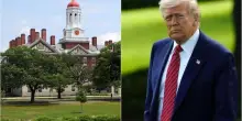 Harvard ha perso miliardi a causa dello scontro con Trump: ecco quanti