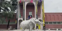 Milano, elefante in cartapesta di Allegrucci alla Triennale