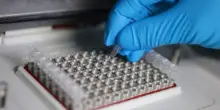 Giornata Mondiale Fibrosi Cistica: con Genoma Puglia diagnosi precoce