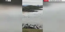Australia, squalo attacca il surfista e lo insegue fino a riva. VIDEO