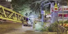 Maltempo in Emilia-Romagna: alberi caduti e case evacuate