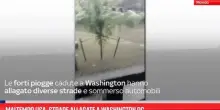Maltempo Usa, strade allagate a Washington DC
