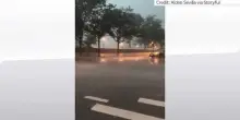 New York, piogge e forti venti: emessa allerta speciale