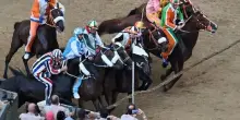 Palio Siena dell'Assunta, le contrade partecipanti: fantini e cavalli
