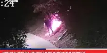 Incendi in Bulgaria, diffuso filmato di piromani in un bosco