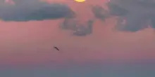 Super Luna del Cacciatore nel tramonto di Polignano a mare