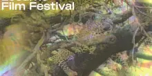 Locarno Film Festival 2025, il programma completo con tutti i film