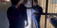 Frascati, spaccio all'ingrosso con aiuto minori, 13 arresti