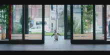 Paul -Un pinguino da salvare, una clip del film