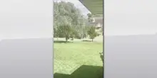 Omicidio Charlie Kirk, indagini FBI vicino campus nello Uta