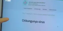 Carpi, allarme focolaio di Chikungunya febbre spaccaossa