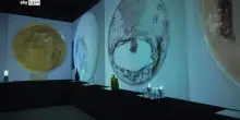 La storia del profumo in mostra a Venezia