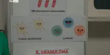 Notte ricercatori: laboratori aperti ai bambini all'IRCCS