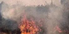 Sardegna, fiamme a ridosso spiaggia Villasimius: bagnanti in fuga