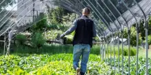 Bonus agricoltori 2025, come e quando chiedere fino a 2.500 euro