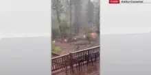 New Mexico, dichiarata emergenza per inondazioni improvvise