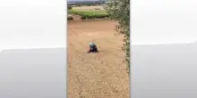 Carabiniere ucciso, acquisito video cattura dell'assassino