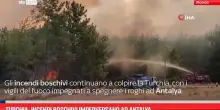 Turchia, incendi boschivi imperversano ad Antalya
