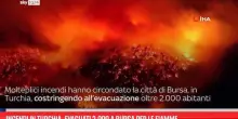 Incendi in Turchia, evacuati 2.000 a Bursa per le fiamme