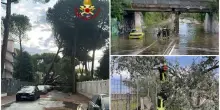 Maltempo in Romagna, allagamenti e alberi caduti sulla costa. FOTO