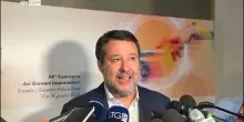 Salvini: 'Inammissibile Stato che voglia cancellare Israele'