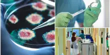 Covid, in Italia avanza la variante Stratus: sintomi e cosa sapere