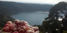 Sagra delle Fragole di Nemi 2025: ospiti e programma completo