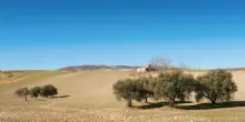 Aree interne, il piano del governo contro lo spopolamento