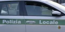 Quattro ragazzi trovano borsa con 7mila dollari per darla alla polizia