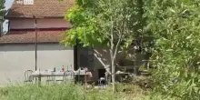 Pesaro, spara e uccide cognata durante una festa: arrestato