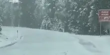 Alto Adige, torna l'inverno: neve fino a 1.600 metri