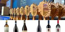 Oscar del Vino 2025, ecco quali sono i migliori secondo gli esperti