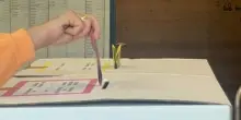 Elezioni comunali 2025, dove e come si vota