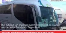 Ramallah, arrivano bus con prigionieri palestinesi liberati