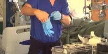 West Nile, aumentano contagi nel Lazio, rafforzata prevenzione