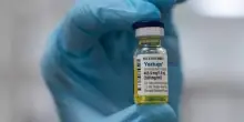 Vaccino Hiv, terapia contro l'Aids approvata dalla Fda negli Usa