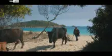 La vita va così, Milani inaugura Festa del Cinema di Roma