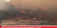 Siria, Caschi Bianchi in lotta contro incendi a Latakia