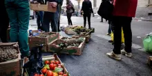 Spreco alimentare, buttiamo 555,8 grammi a settimana. I consigli