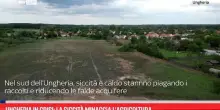 Ungheria in crisi: la siccità minaccia l’agricoltura