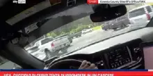 Usa, cucciolo di cervo tenta di irrompere in un carcere