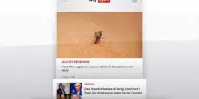 I titoli di Sky TG24 del 29 luglio, edizione delle 13